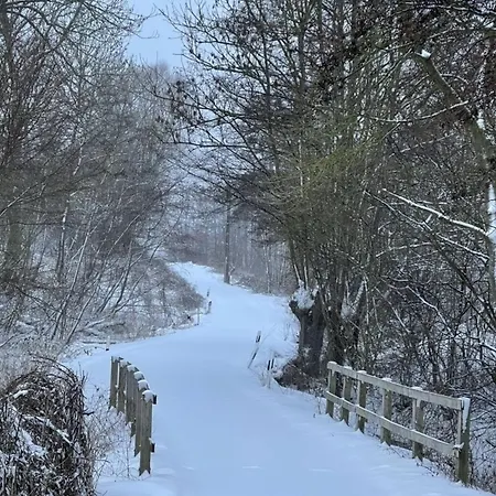 Mp 4 Meerjungfrau Apartment Klutz