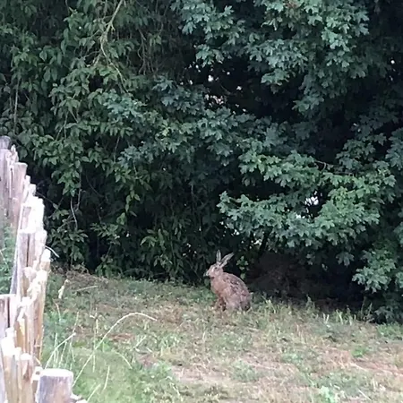 Apartment Mp 4 Meerjungfrau Klutz