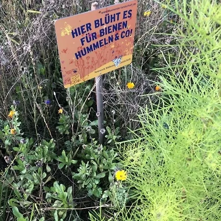 Meeresperle 4 Meerjungfrau *